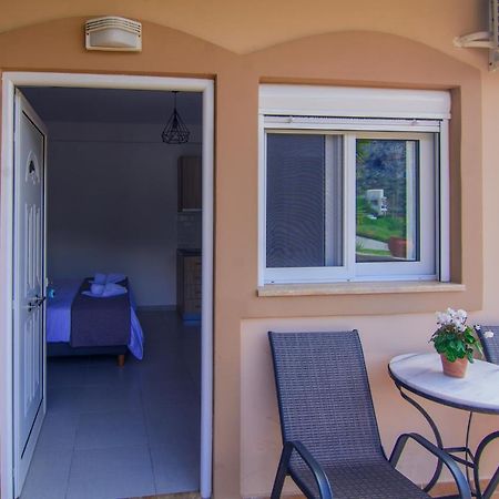 Irene Studio Panorama Apartment Palaiochora Exterior photo